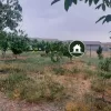 باغ در هومند زان فروش فوری