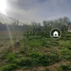 باغ در هومند زان فروش فوری