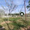 باغ در هومند زان فروش فوری