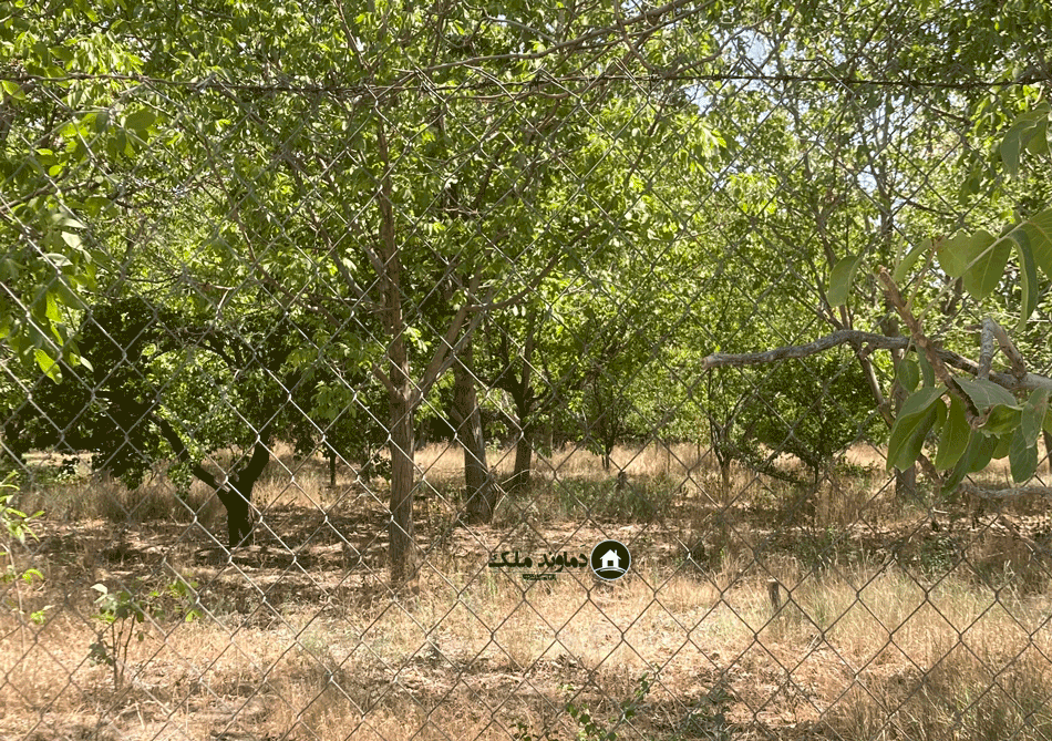 خرید ویلا و زمین ، رهن آپارتمان و اجاره منزل دماوند