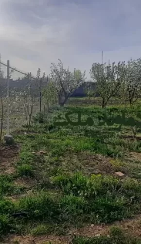 باغ در هومند زان فروش فوری