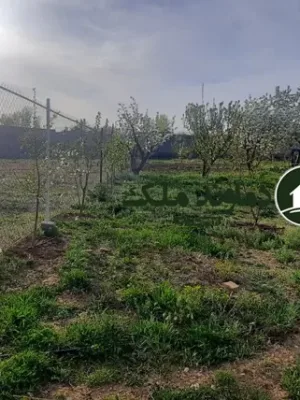 باغ در هومند زان فروش فوری