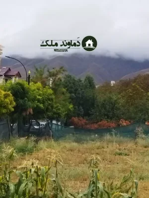 ۳۳۰ متر زمین در کیلان (آگهی رایگان)