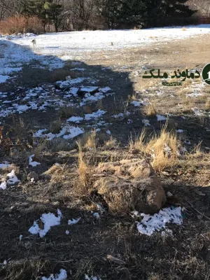 فروش ۲۴۵۰متر باغ شلمبه