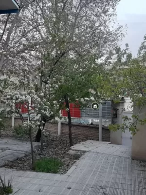 باغچه دربستی خیابان مطهری دماوند