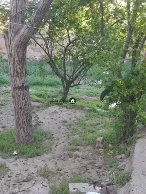 باغچه نقلی با انشعابات و سند ۶دانگ