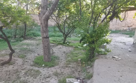 باغچه نقلی با انشعابات و سند ۶دانگ