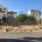 زمین دمادشت 2 نبش برای فروش