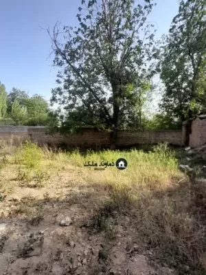 کلنگی خوشقواره جیلارد دماوند
