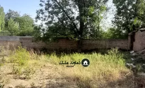 کلنگی خوشقواره جیلارد دماوند